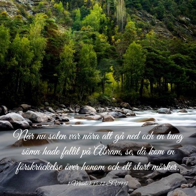 Picture 03 - 1 Mosebok 15:12 SV1917 - När nu solen var nära att gå ned och en tung - Bible Verse Picture