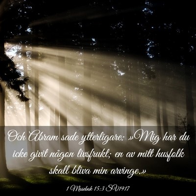 Picture 03 - 1 Mosebok 15:3 SV1917 - Och Abram sade ytterligare: »Mig har du icke - Bible Verse Picture