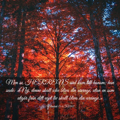 Picture 03 - 1 Mosebok 15:4 SV1917 - Men se, HERRENS ord kom till honom; han sade: - Bible Verse Picture
