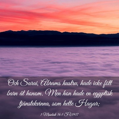 Picture 03 - 1 Mosebok 16:1 SV1917 - Och Sarai, Abrams hustru, hade icke fött barn - Bible Verse Picture