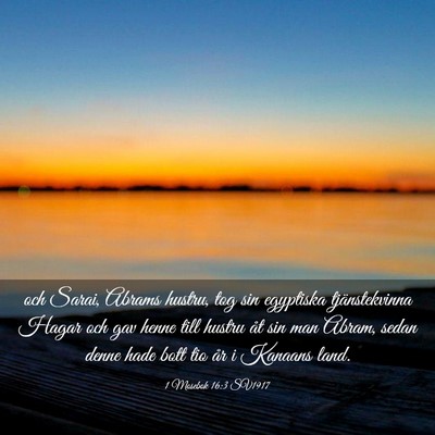 Picture 03 - 1 Mosebok 16:3 SV1917 - och Sarai, Abrams hustru, tog sin egyptiska - Bible Verse Picture
