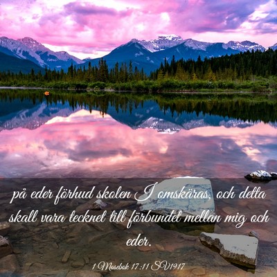 Picture 03 - 1 Mosebok 17:11 SV1917 - på eder förhud skolen I omskäras, och detta - Bible Verse Picture