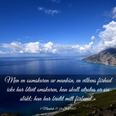 Picture 03 - 1 Mosebok 17:14 SV1917 - Men en oomskuren av mankön, en vilkens förhud - Bible Verse Picture