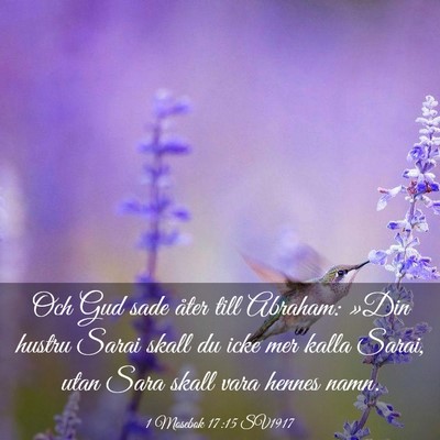 Picture 03 - 1 Mosebok 17:15 SV1917 - Och Gud sade åter till Abraham: »Din hustru - Bible Verse Picture