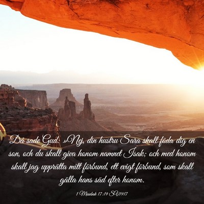 Picture 03 - 1 Mosebok 17:19 SV1917 - Då sade Gud: »Nej, din hustru Sara skall föda - Bible Verse Picture