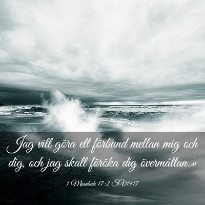 Picture 03 - 1 Mosebok 17:2 SV1917 - Jag vill göra ett förbund mellan mig och dig, - Bible Verse Picture