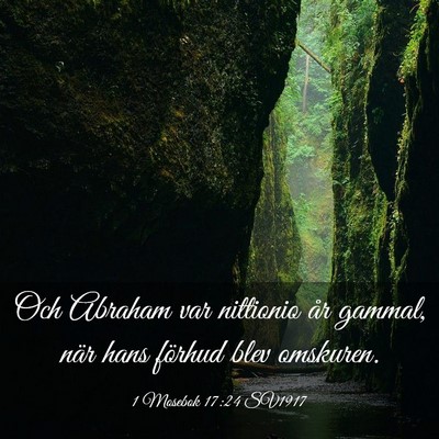 Picture 03 - 1 Mosebok 17:24 SV1917 - Och Abraham var nittionio år gammal, när hans - Bible Verse Picture