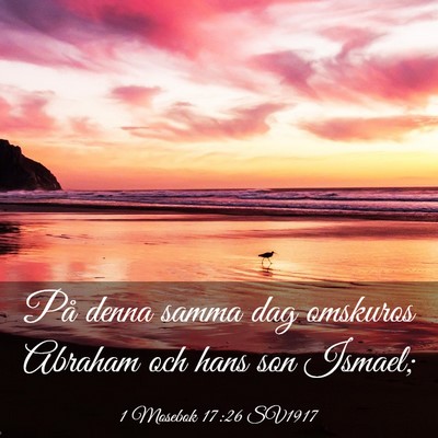 Picture 03 - 1 Mosebok 17:26 SV1917 - På denna samma dag omskuros Abraham och hans son - Bible Verse Picture