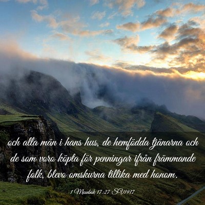 Picture 03 - 1 Mosebok 17:27 SV1917 - och alla män i hans hus, de hemfödda tjänarna - Bible Verse Picture
