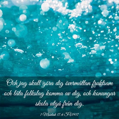 Picture 03 - 1 Mosebok 17:6 SV1917 - Och jag skall göra dig övermåttan fruktsam och - Bible Verse Picture