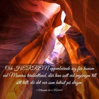 Picture 03 - 1 Mosebok 18:1 SV1917 - Och HERREN uppenbarade sig för honom vid Mamres - Bible Verse Picture