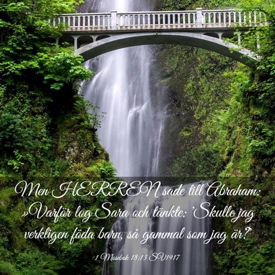 Picture 03 - 1 Mosebok 18:13 SV1917 - Men HERREN sade till Abraham: »Varför log Sara - Bible Verse Picture