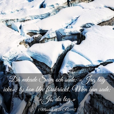 Picture 03 - 1 Mosebok 18:15 SV1917 - Då nekade Sara och sade: »Jag log icke»; ty - Bible Verse Picture