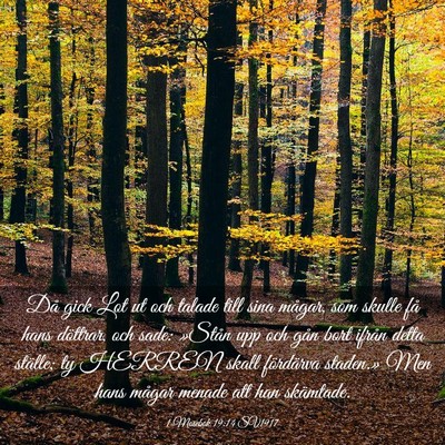 Picture 03 - 1 Mosebok 19:14 SV1917 - Då gick Lot ut och talade till sina mågar, som - Bible Verse Picture