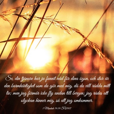 Picture 03 - 1 Mosebok 19:19 SV1917 - Se, din tjänare har ju funnit nåd för dina - Bible Verse Picture