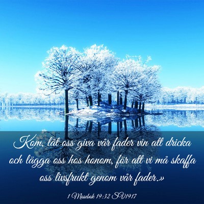 Picture 03 - 1 Mosebok 19:32 SV1917 - Kom, låt oss giva vår fader vin att dricka och - Bible Verse Picture