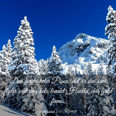 Picture 03 - 1 Mosebok 2:11 SV1917 - Den första heter Pison; det är den som flyter - Bible Verse Picture