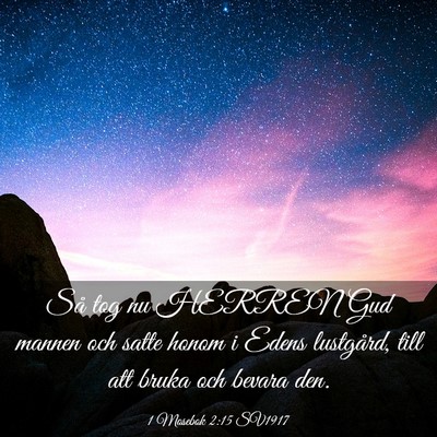 Picture 03 - 1 Mosebok 2:15 SV1917 - Så tog nu HERREN Gud mannen och satte honom i - Bible Verse Picture