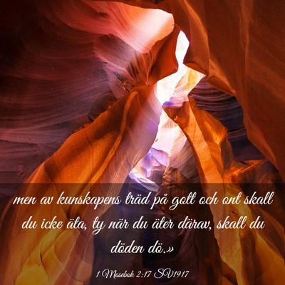 Picture 03 - 1 Mosebok 2:17 SV1917 - men av kunskapens träd på gott och ont skall du - Bible Verse Picture