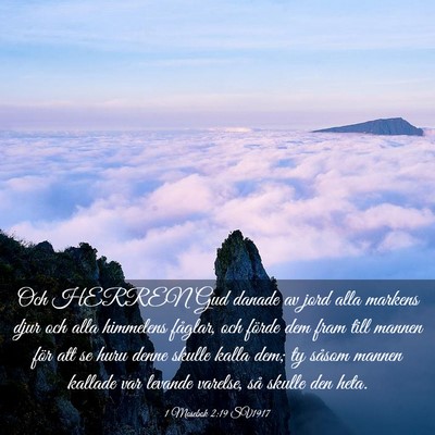 Picture 03 - 1 Mosebok 2:19 SV1917 - Och HERREN Gud danade av jord alla markens djur - Bible Verse Picture