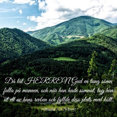 Picture 03 - 1 Mosebok 2:21 SV1917 - Då lät HERREN Gud en tung sömn falla på - Bible Verse Picture