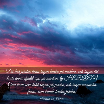 Picture 03 - 1 Mosebok 2:5 SV1917 - Då bar jorden ännu ingen buske på marken, och - Bible Verse Picture