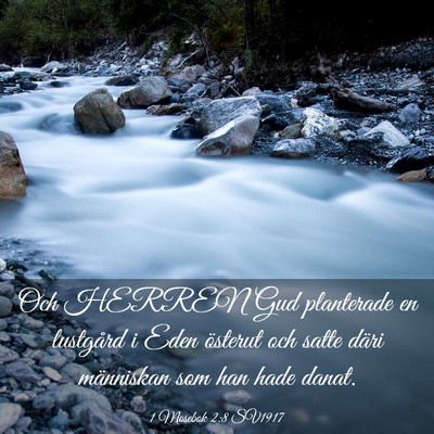 Picture 03 - 1 Mosebok 2:8 SV1917 - Och HERREN Gud planterade en lustgård i Eden - Bible Verse Picture