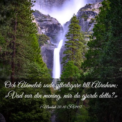 Picture 03 - 1 Mosebok 20:10 SV1917 - Och Abimelek sade ytterligare till Abraham: »Vad - Bible Verse Picture