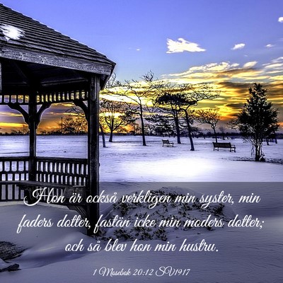 Picture 03 - 1 Mosebok 20:12 SV1917 - Hon är också verkligen min syster, min faders - Bible Verse Picture