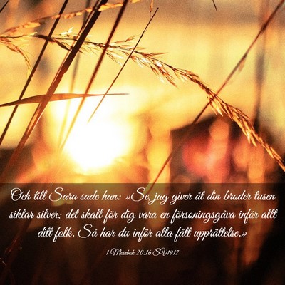 Picture 03 - 1 Mosebok 20:16 SV1917 - Och till Sara sade han: »Se, jag giver åt din - Bible Verse Picture