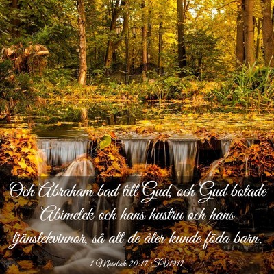 Picture 03 - 1 Mosebok 20:17 SV1917 - Och Abraham bad till Gud, och Gud botade Abimelek - Bible Verse Picture