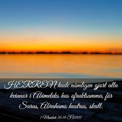 Picture 03 - 1 Mosebok 20:18 SV1917 - HERREN hade nämligen gjort alla kvinnor i - Bible Verse Picture