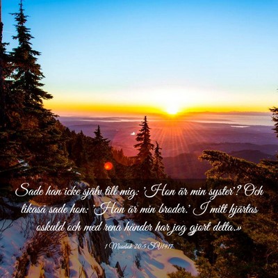 Picture 03 - 1 Mosebok 20:5 SV1917 - Sade han icke själv till mig: 'Hon är min - Bible Verse Picture