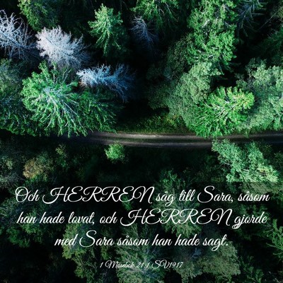Picture 03 - 1 Mosebok 21:1 SV1917 - Och HERREN såg till Sara, såsom han hade lovat, - Bible Verse Picture