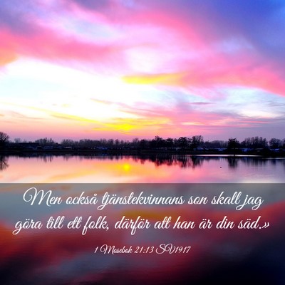 Picture 03 - 1 Mosebok 21:13 SV1917 - Men också tjänstekvinnans son skall jag göra - Bible Verse Picture