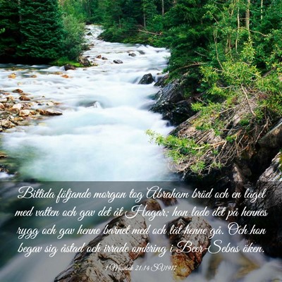 Picture 03 - 1 Mosebok 21:14 SV1917 - Bittida följande morgon tog Abraham bröd och en - Bible Verse Picture
