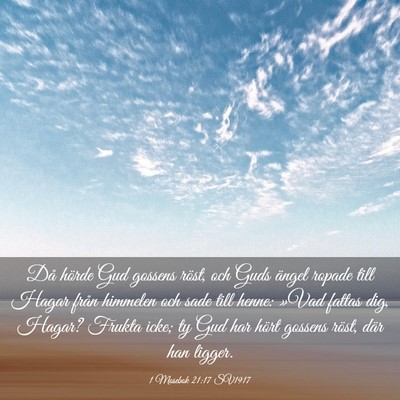 Picture 03 - 1 Mosebok 21:17 SV1917 - Då hörde Gud gossens röst, och Guds ängel - Bible Verse Picture