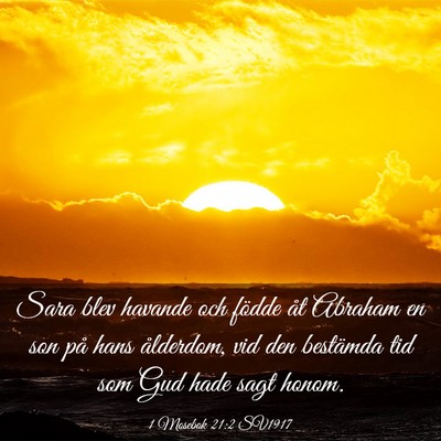 Picture 03 - 1 Mosebok 21:2 SV1917 - Sara blev havande och födde åt Abraham en son - Bible Verse Picture