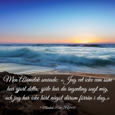 Picture 03 - 1 Mosebok 21:26 SV1917 - Men Abimelek svarade: »Jag vet icke vem som har - Bible Verse Picture