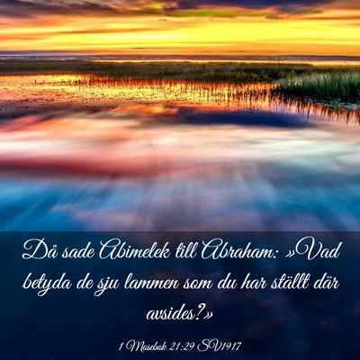 Picture 03 - 1 Mosebok 21:29 SV1917 - Då sade Abimelek till Abraham: »Vad betyda de - Bible Verse Picture