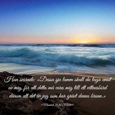 Picture 03 - 1 Mosebok 21:30 SV1917 - Han svarade: »Dessa sju lamm skall du taga emot - Bible Verse Picture