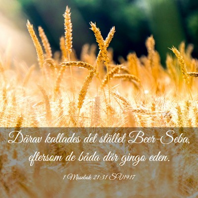 Picture 03 - 1 Mosebok 21:31 SV1917 - Därav kallades det stället Beer-Seba, eftersom - Bible Verse Picture