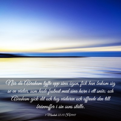 Picture 03 - 1 Mosebok 22:13 SV1917 - När då Abraham lyfte upp sina ögon, fick han - Bible Verse Picture
