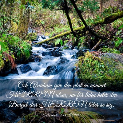 Picture 03 - 1 Mosebok 22:14 SV1917 - Och Abraham gav den platsen namnet HERREN utser; - Bible Verse Picture