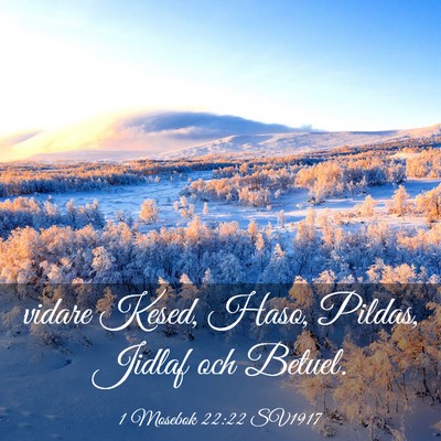 Picture 03 - 1 Mosebok 22:22 SV1917 - vidare Kesed, Haso, Pildas, Jidlaf och - Bible Verse Picture