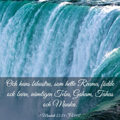 Picture 03 - 1 Mosebok 22:24 SV1917 - Och hans bihustru, som hette Reuma, födde ock - Bible Verse Picture