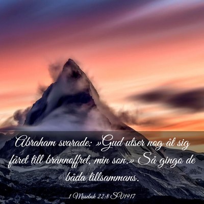 Picture 03 - 1 Mosebok 22:8 SV1917 - Abraham svarade: »Gud utser nog åt sig fåret - Bible Verse Picture