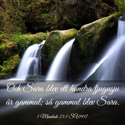 Picture 03 - 1 Mosebok 23:1 SV1917 - Och Sara blev ett hundra tjugusju år gammal; så - Bible Verse Picture