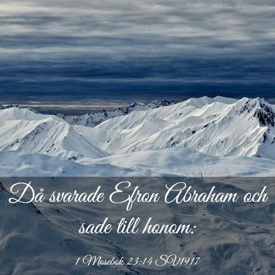 Picture 03 - 1 Mosebok 23:14 SV1917 - Då svarade Efron Abraham och sade till - Bible Verse Picture