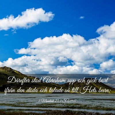 Picture 03 - 1 Mosebok 23:3 SV1917 - Därefter stod Abraham upp och gick bort ifrån - Bible Verse Picture